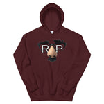 LOGO HOODIE ALL COLORS